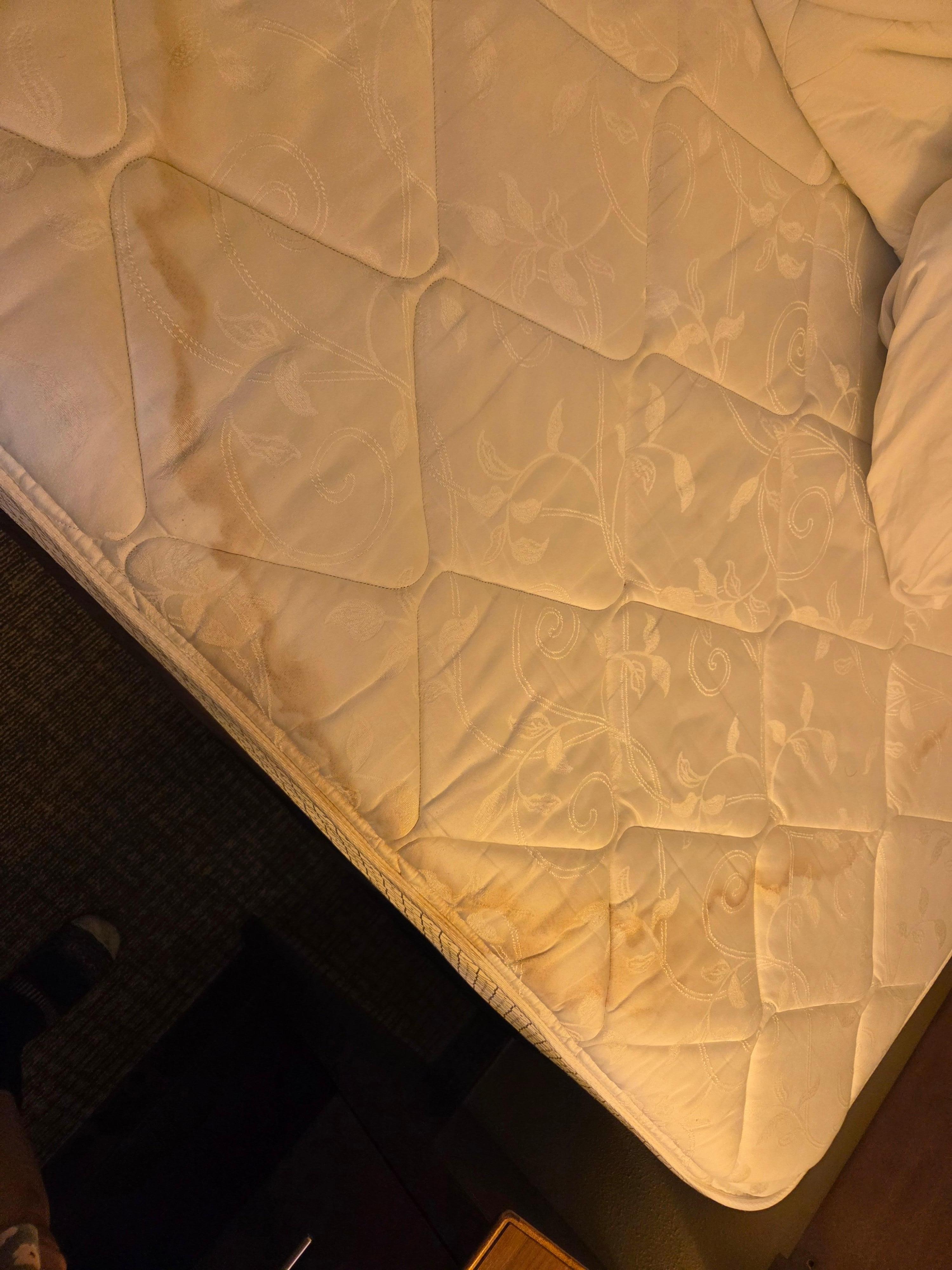 Mattress  stains from who knows what