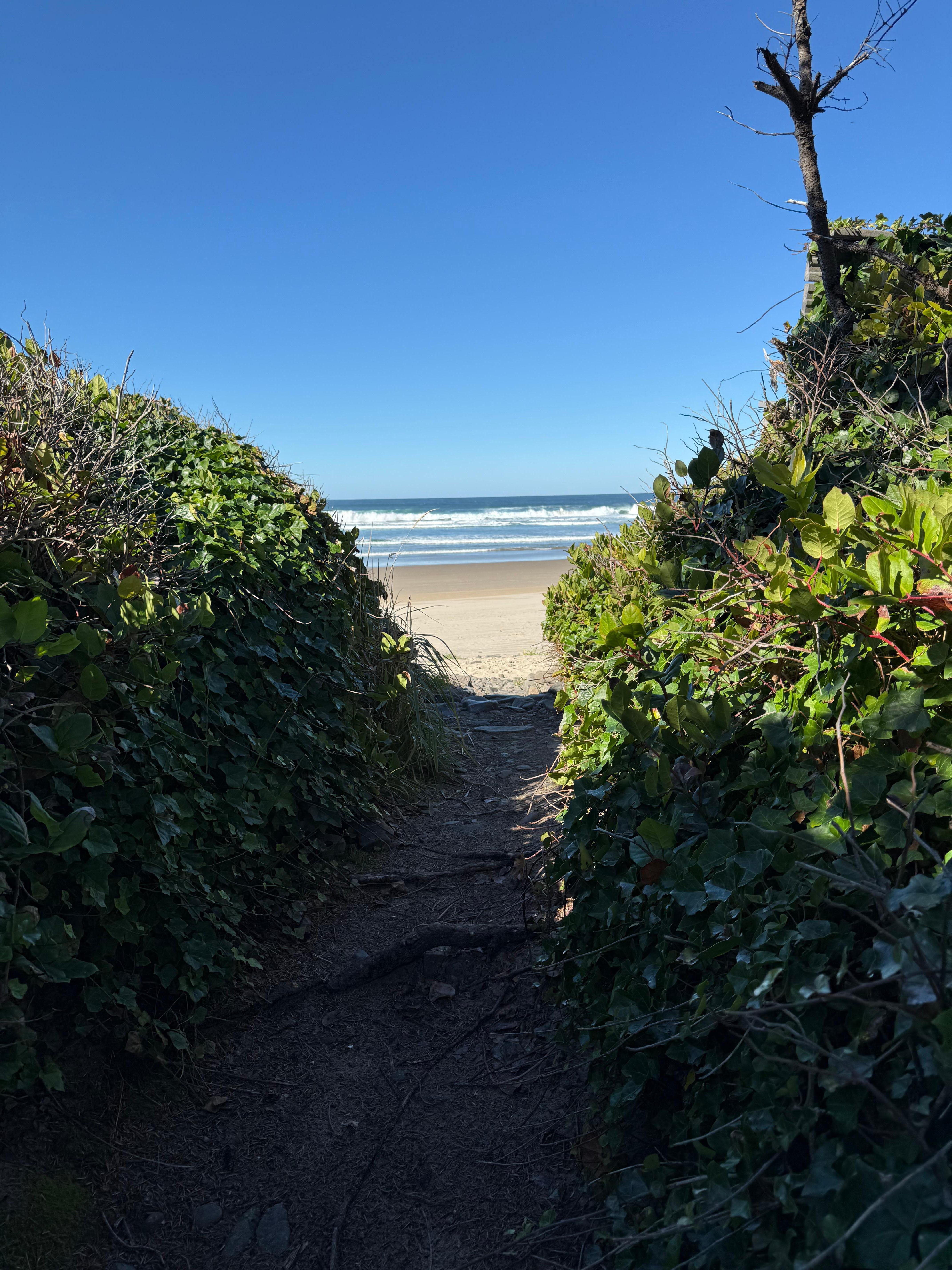 Beach path