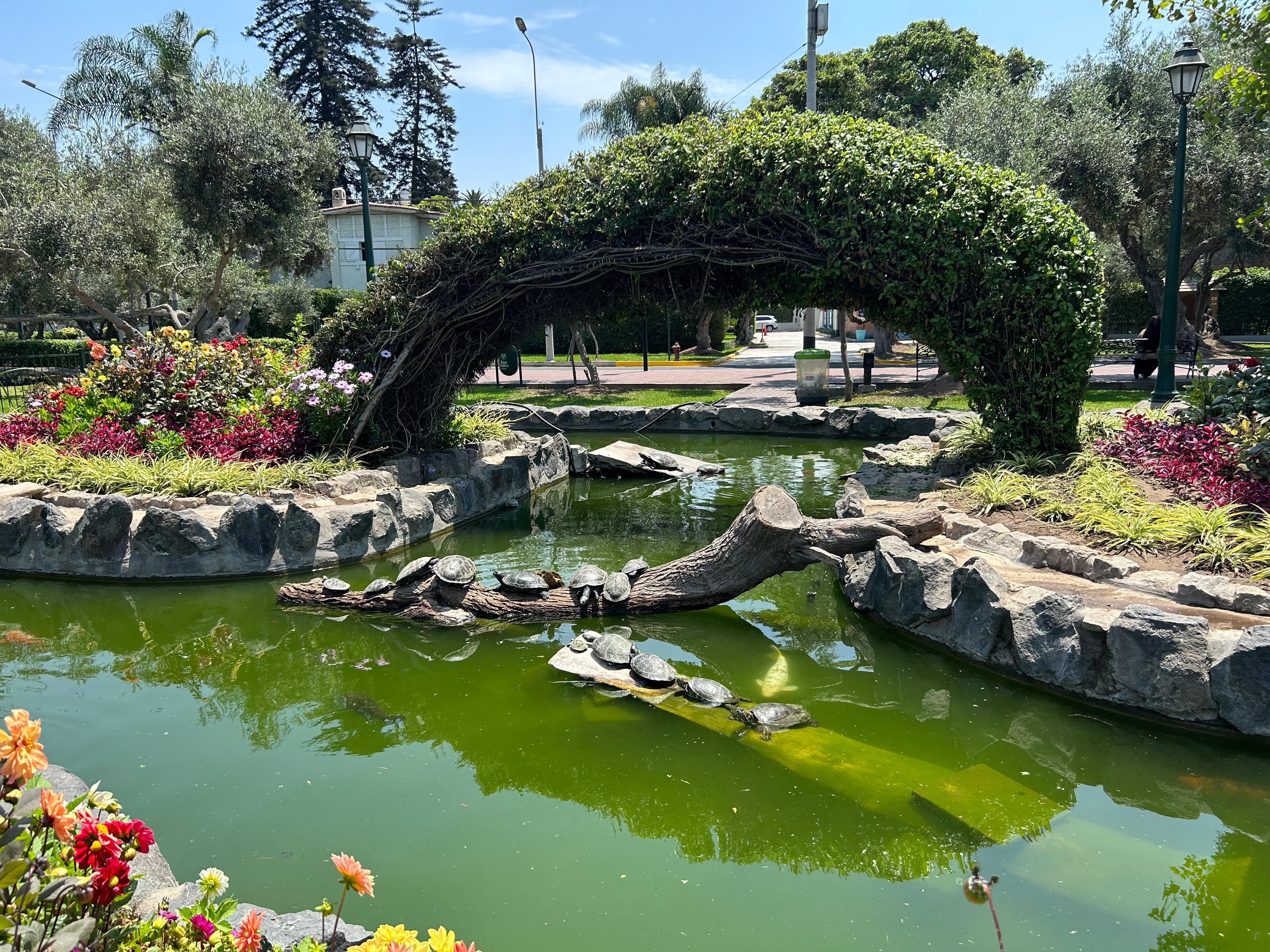 Park Olivar within walking distance of the hotel. 