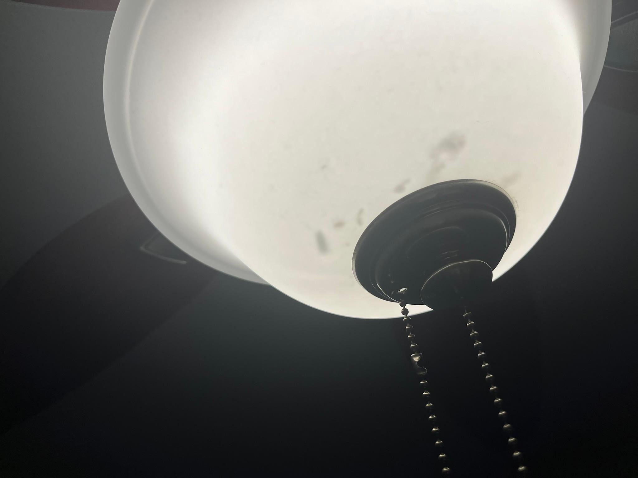 dead roaches in light fixtures