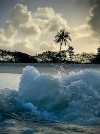Pré d’une plage paradisiaque