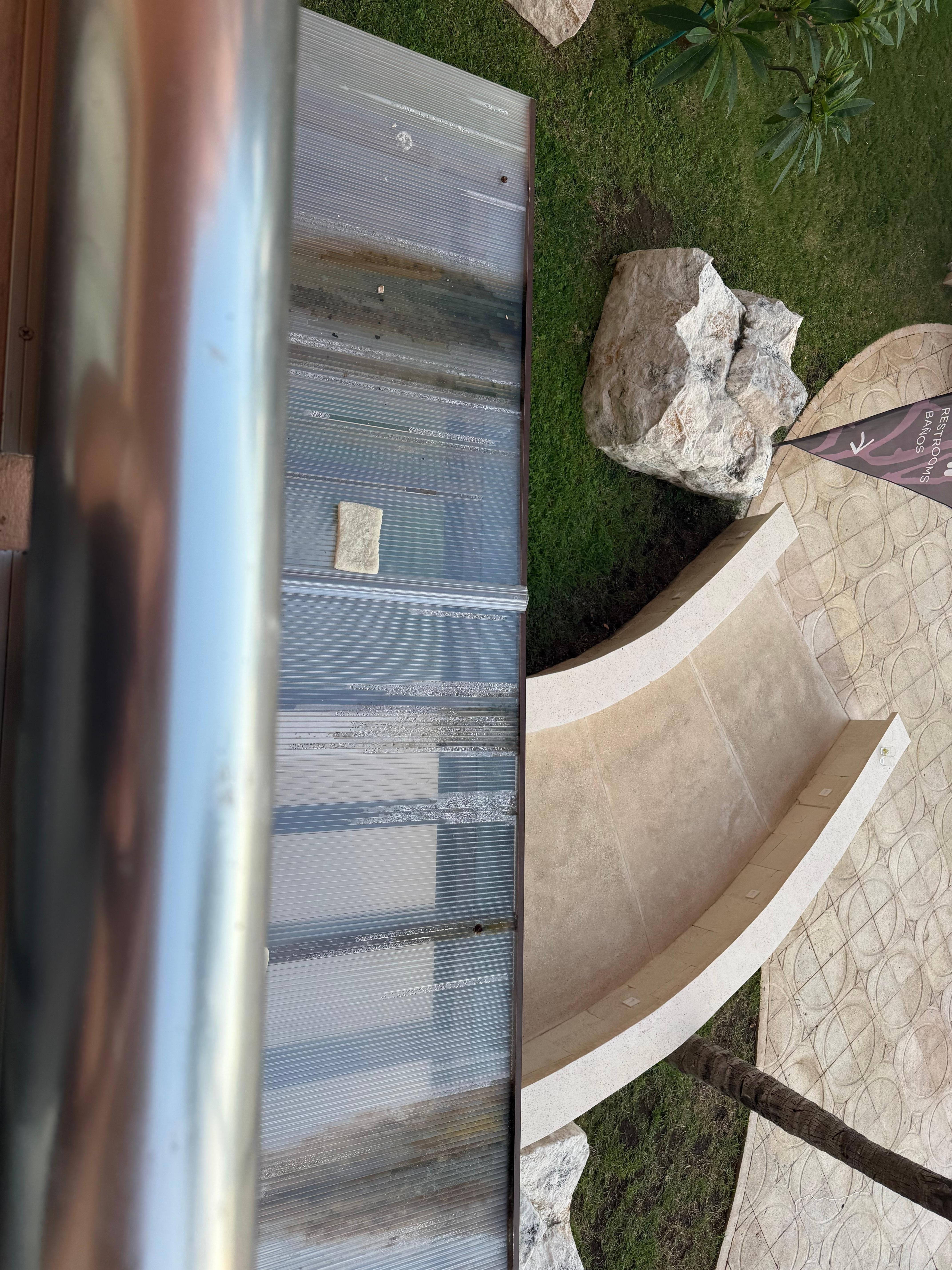 Old sponge just sitting outside our balcony