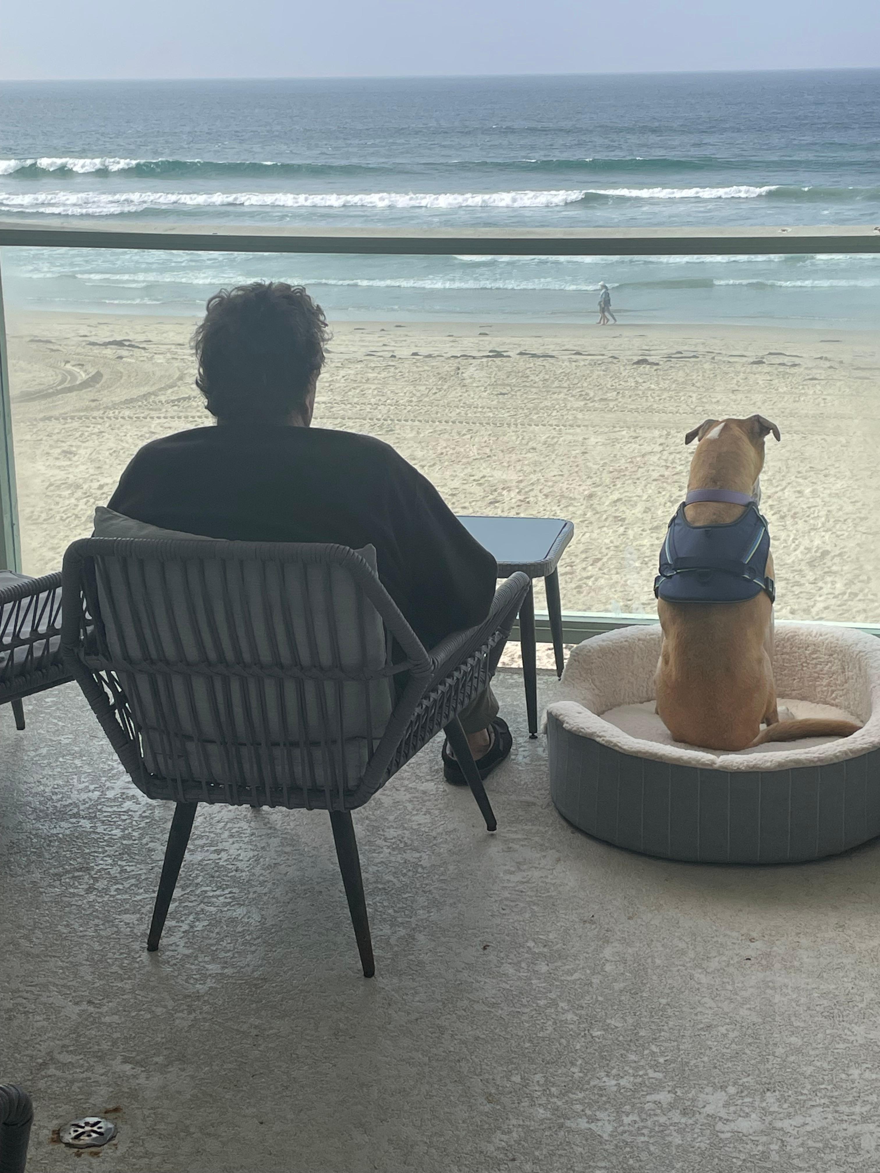 The view was spectacular! 