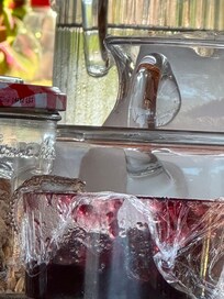 Gecko found at the breakfast area on jam jar, which is covered by cling film
