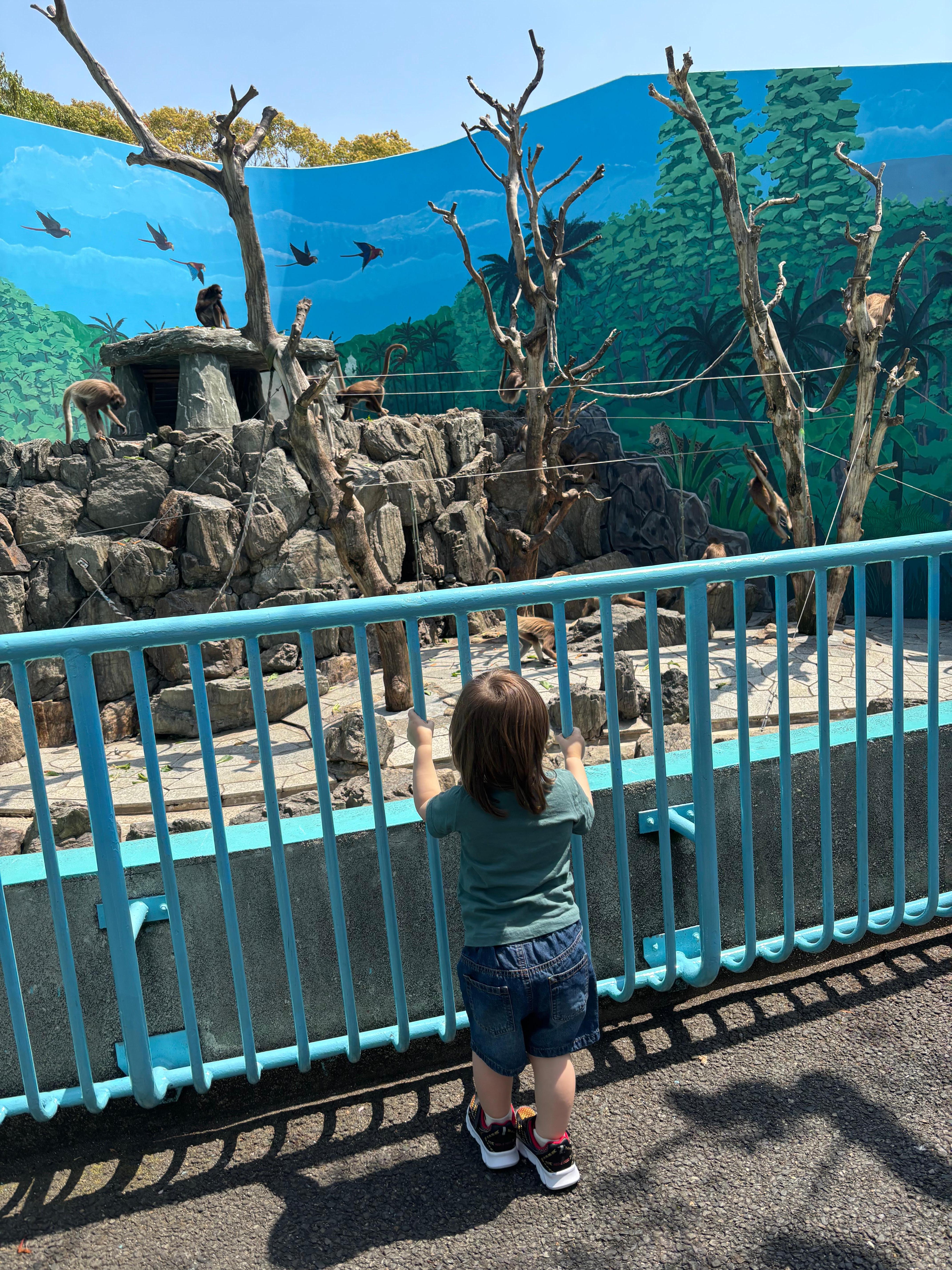 Zoo