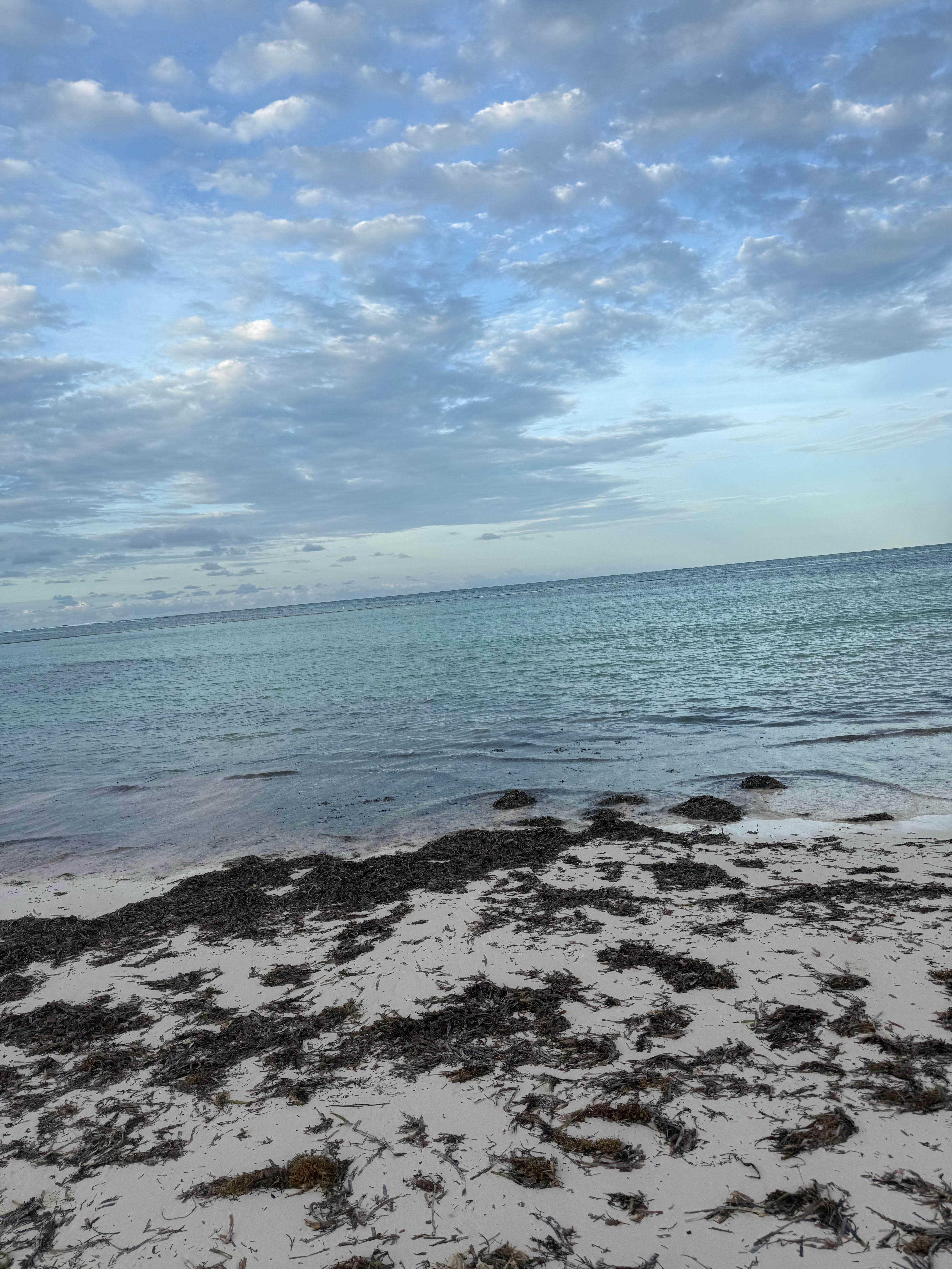 The beach was filled with debris and seaweed . I will recommend that they put a towel station closer to the beach area rather than in the middle of the resort only 