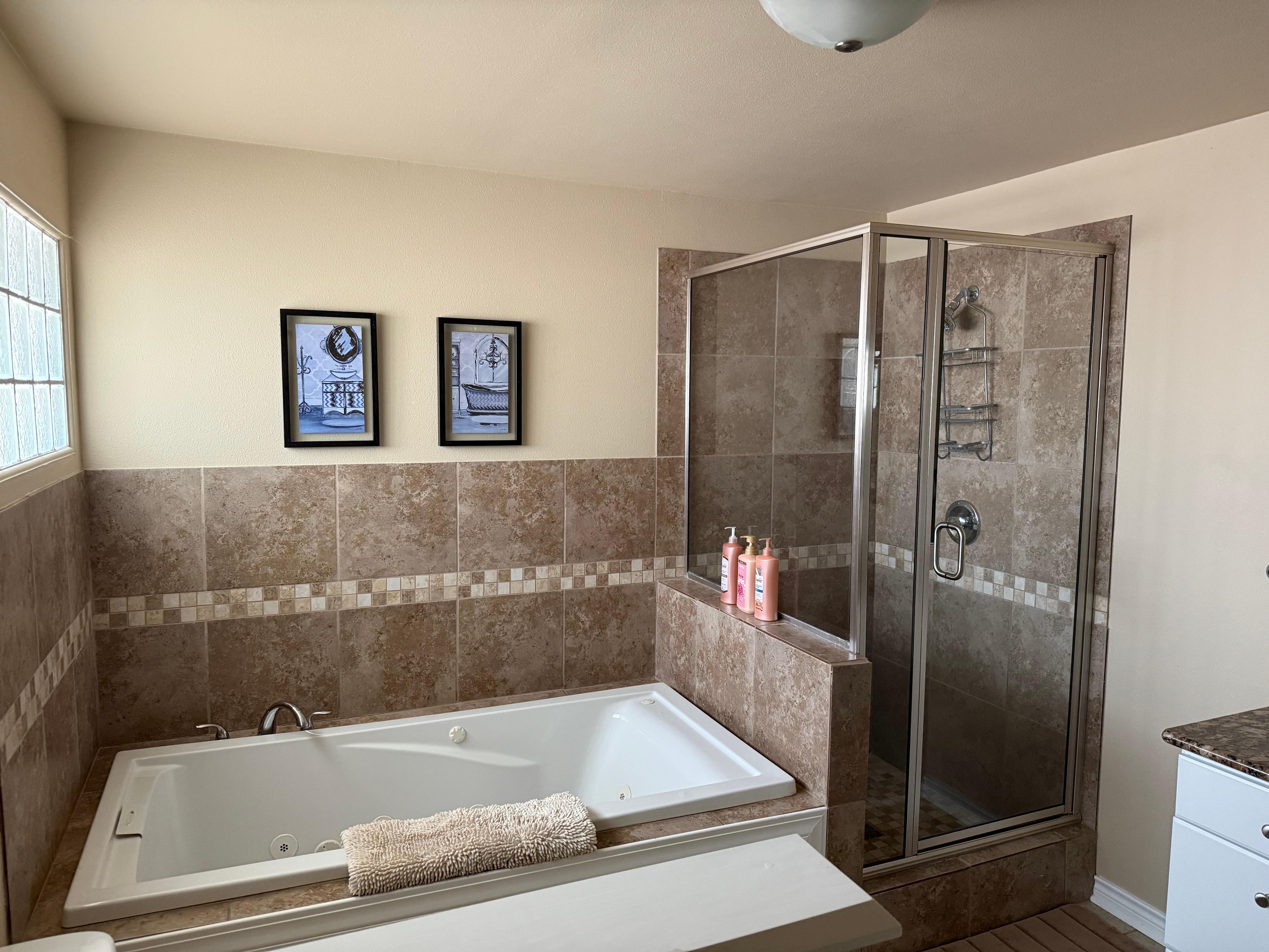 Master bathroom 