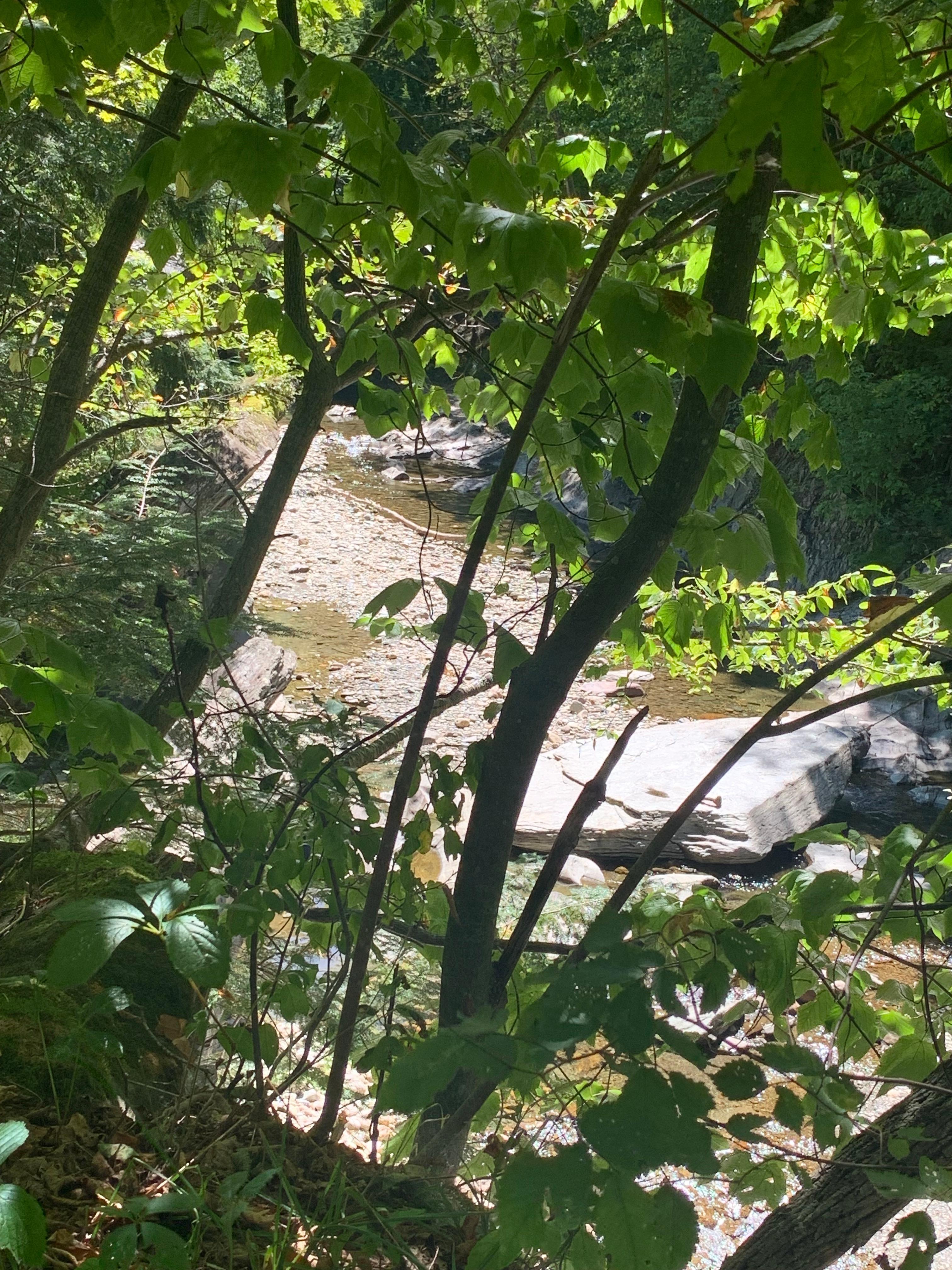 Warren Store, great place for lunch by the stream.