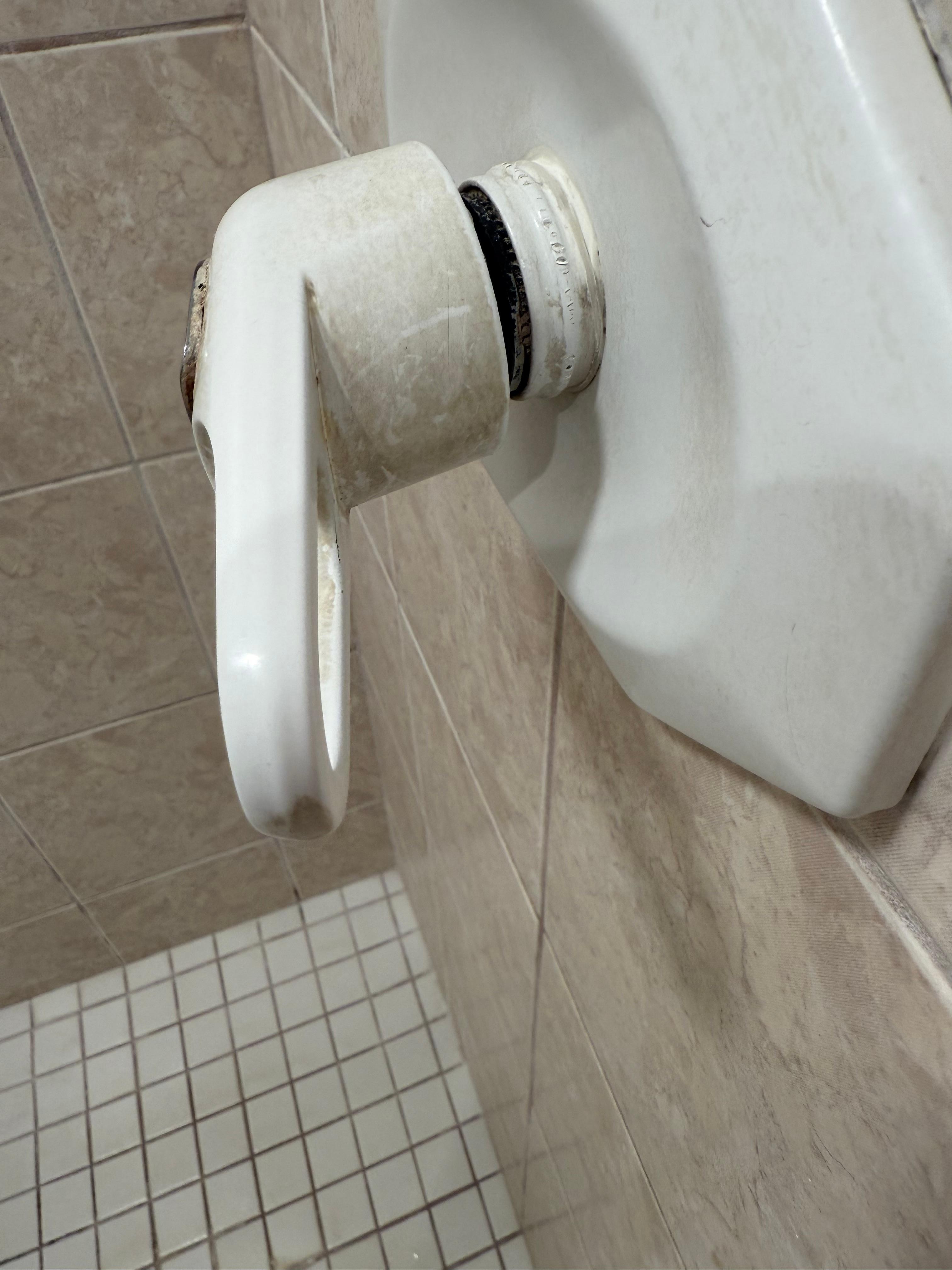 Shower handle