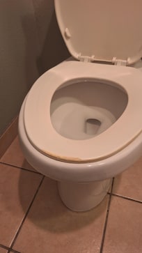 Toilet seat with yellow stains
