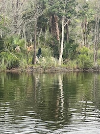 These guys across made us laugh!