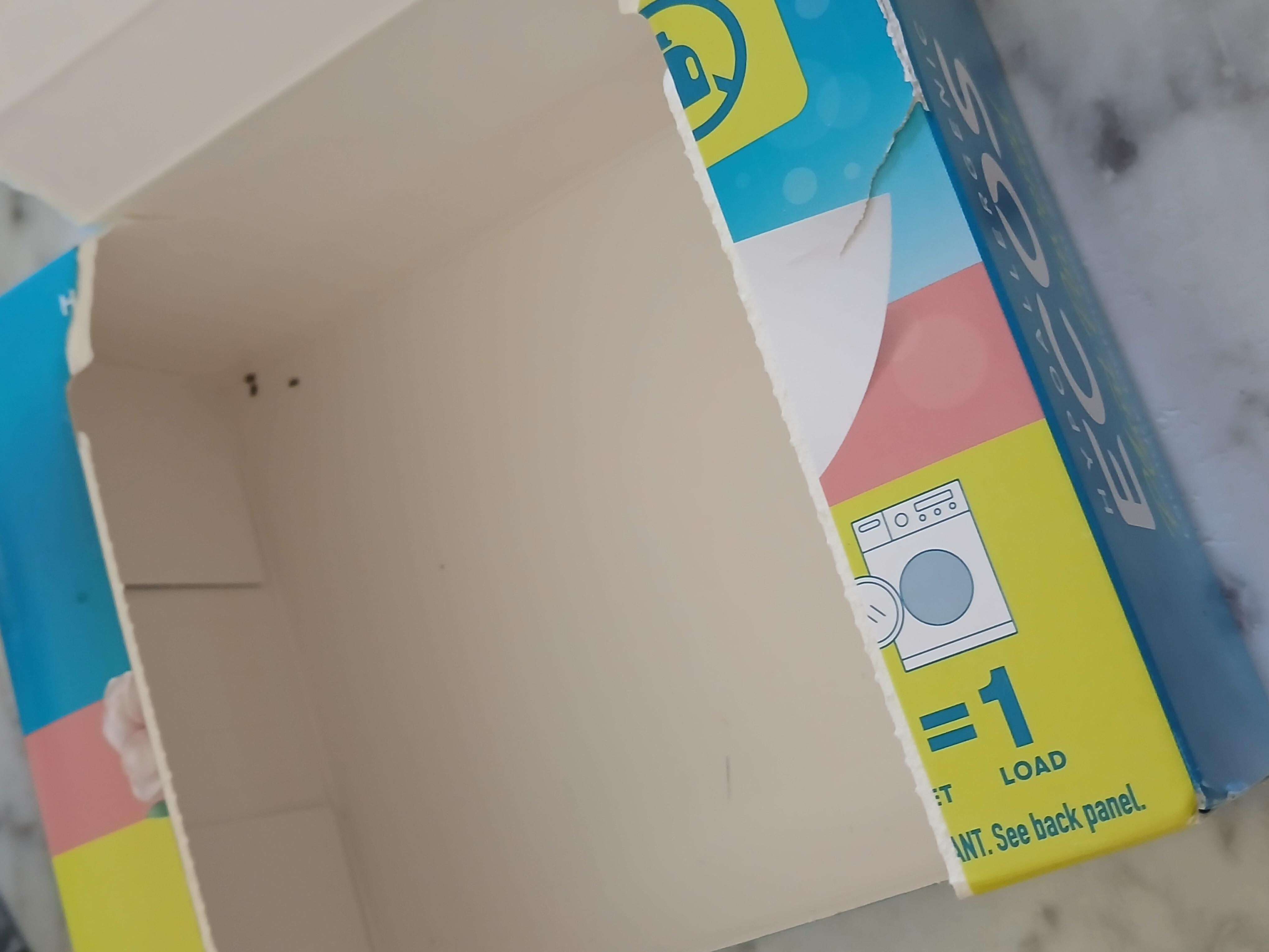 Mouse droppings in washer detergent sheet box