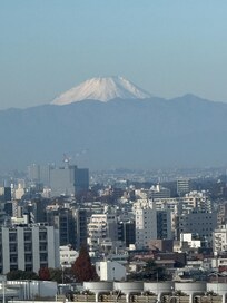 A view of Fuji from our hotel room.