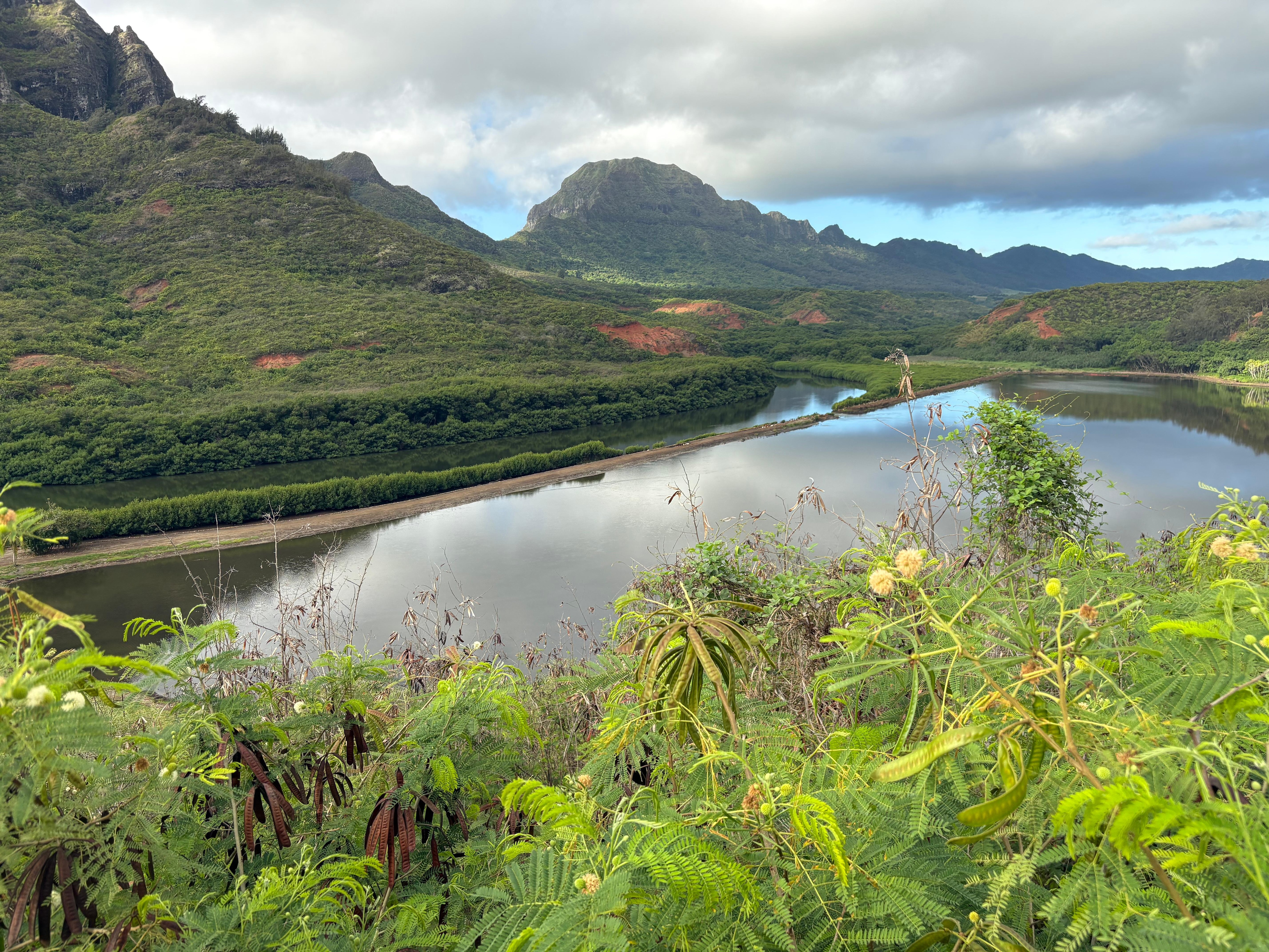Menehune fishpond up the road. 