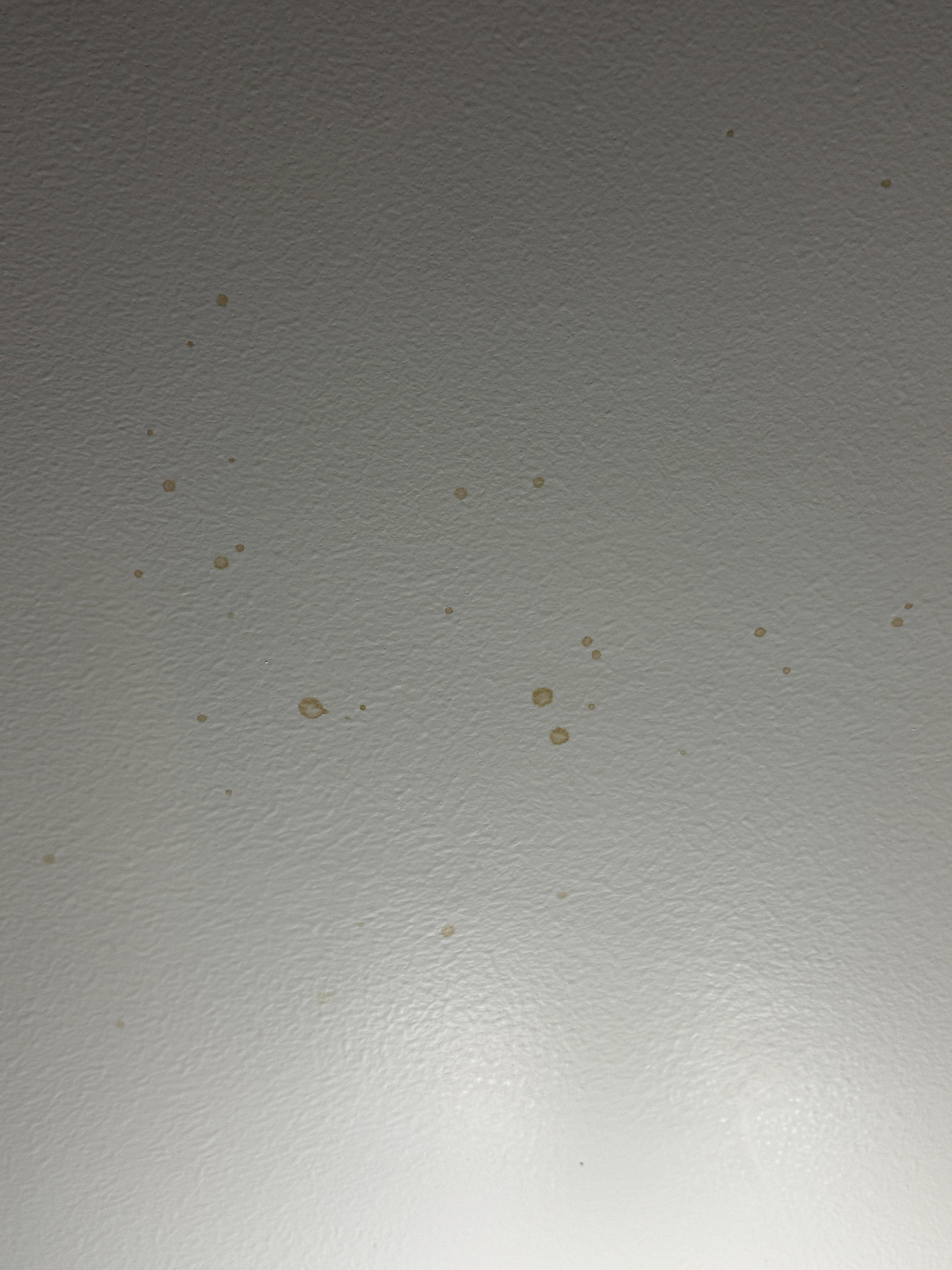 Unidentified fluid splattered #4