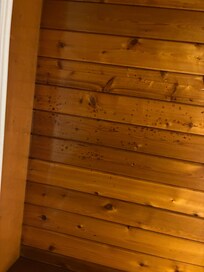 Looks like blood on the roof