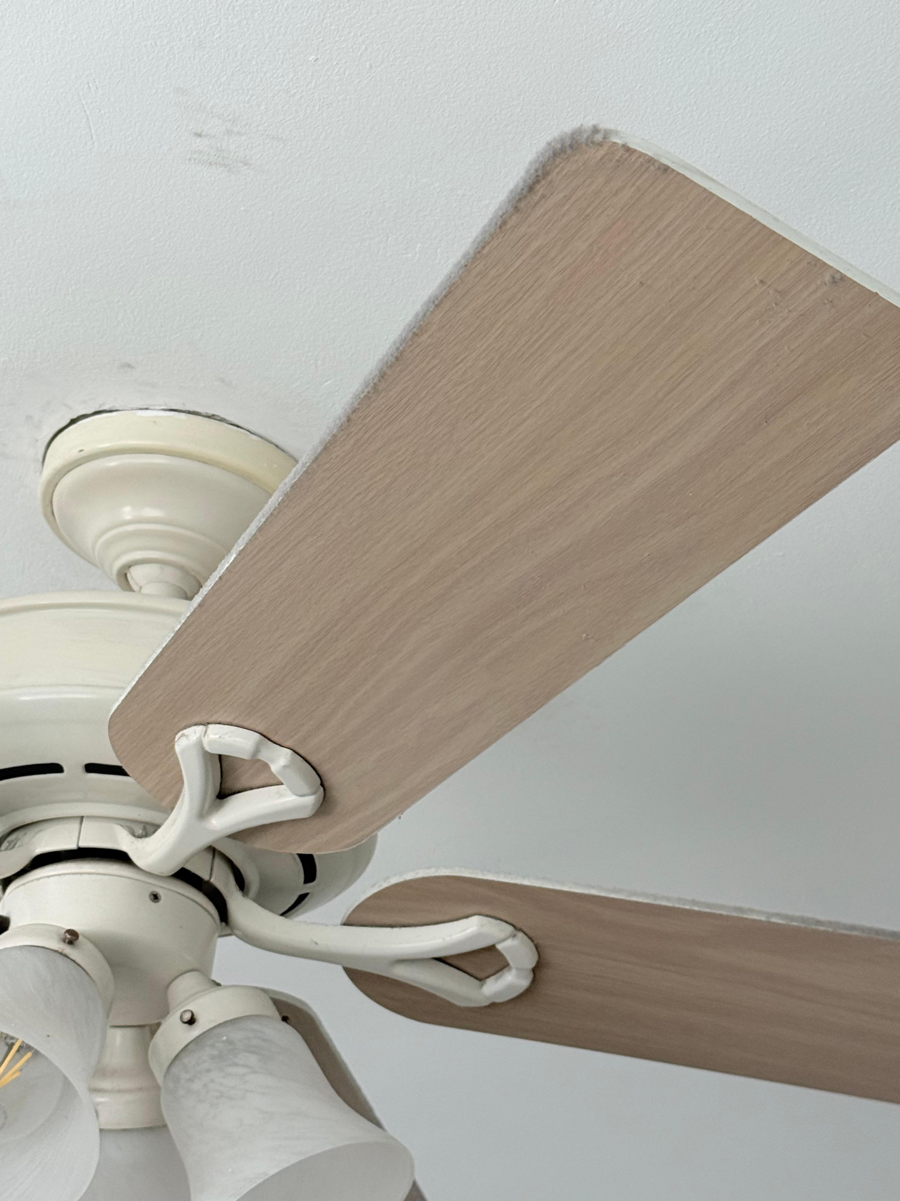 Think layer of dust on another fan. 