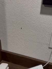 Roaches!!