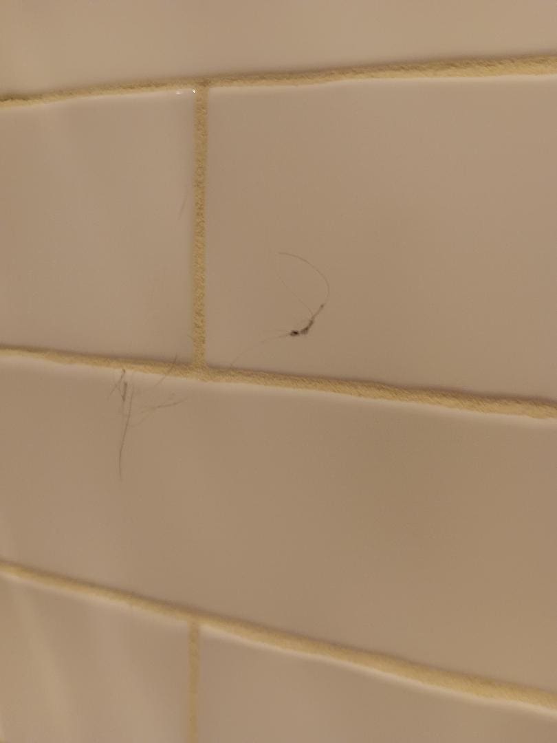 Hair on tile from previous occupant
