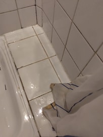 Grouting needs a good scrub. Shower curtain filthy!