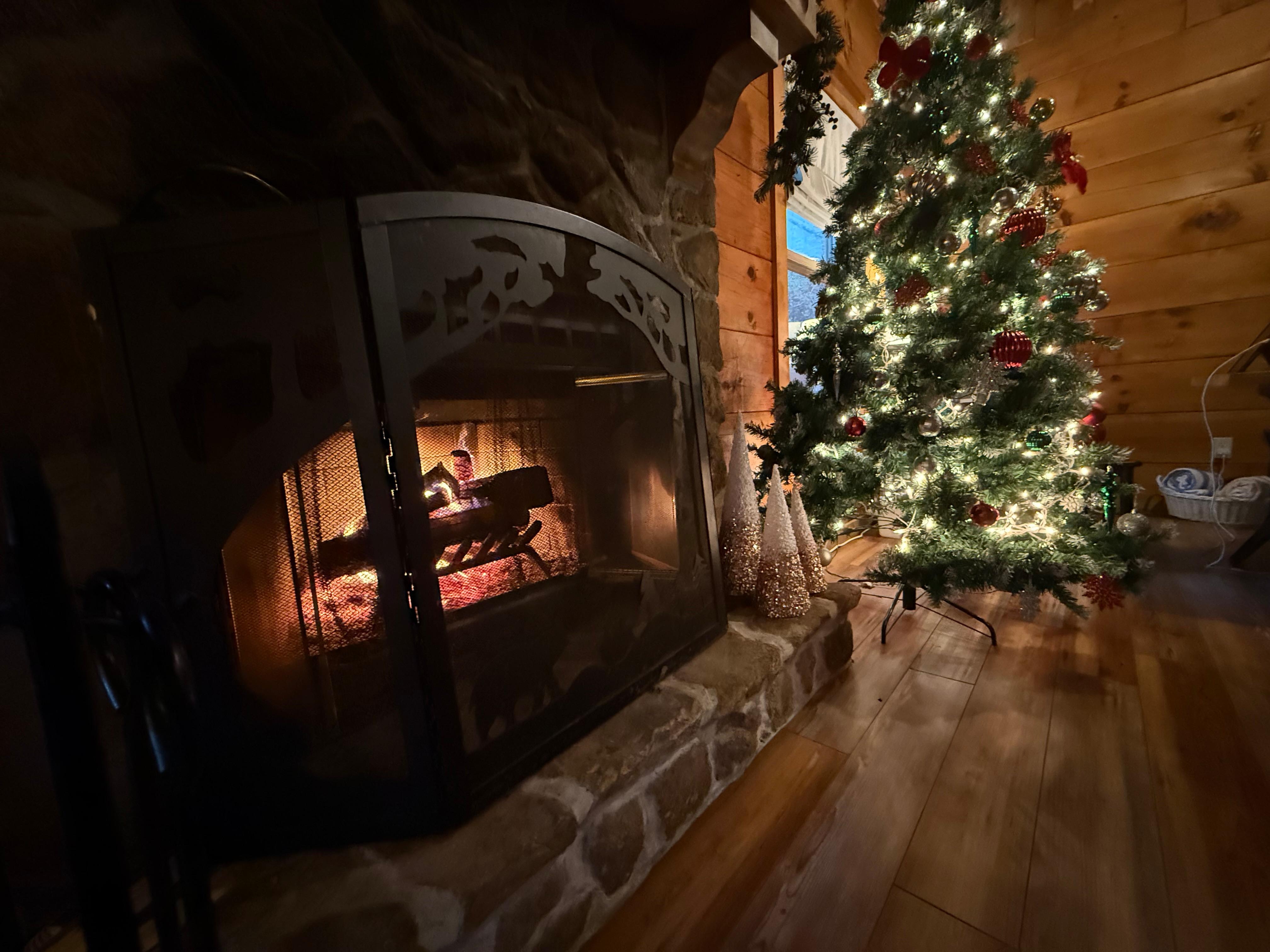 We were blessed with a Christmas tree and holiday  decor which was unexpected 