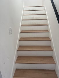 Scuffs on the stairs.