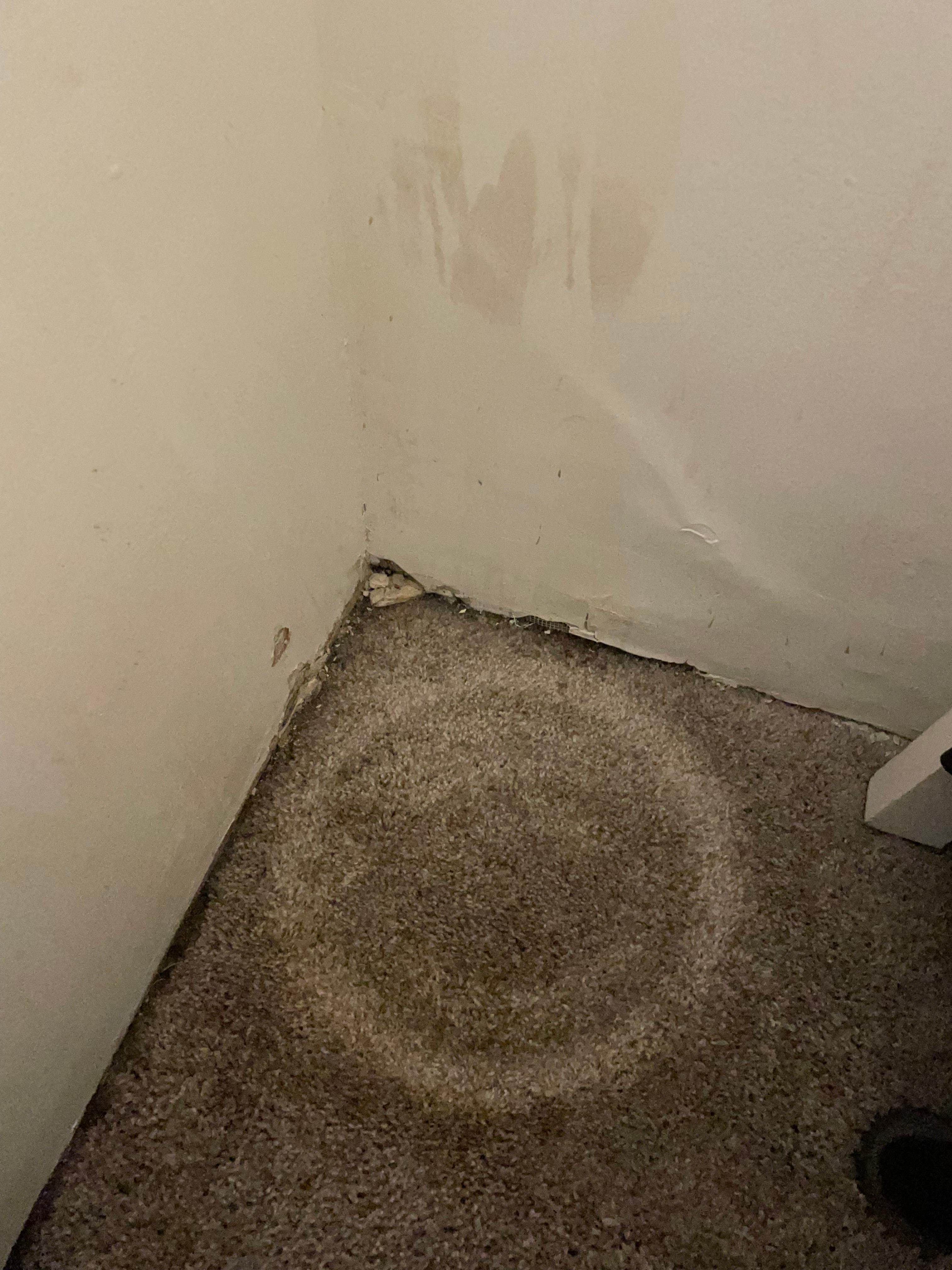 In master bedroom beside window. Mold and mildew
