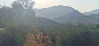 View from the villa