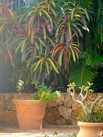 Fauna around the property