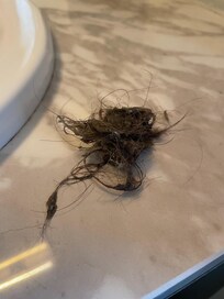 Haare aus augenscheinlich wochenlang ungereinigtem Abfluss