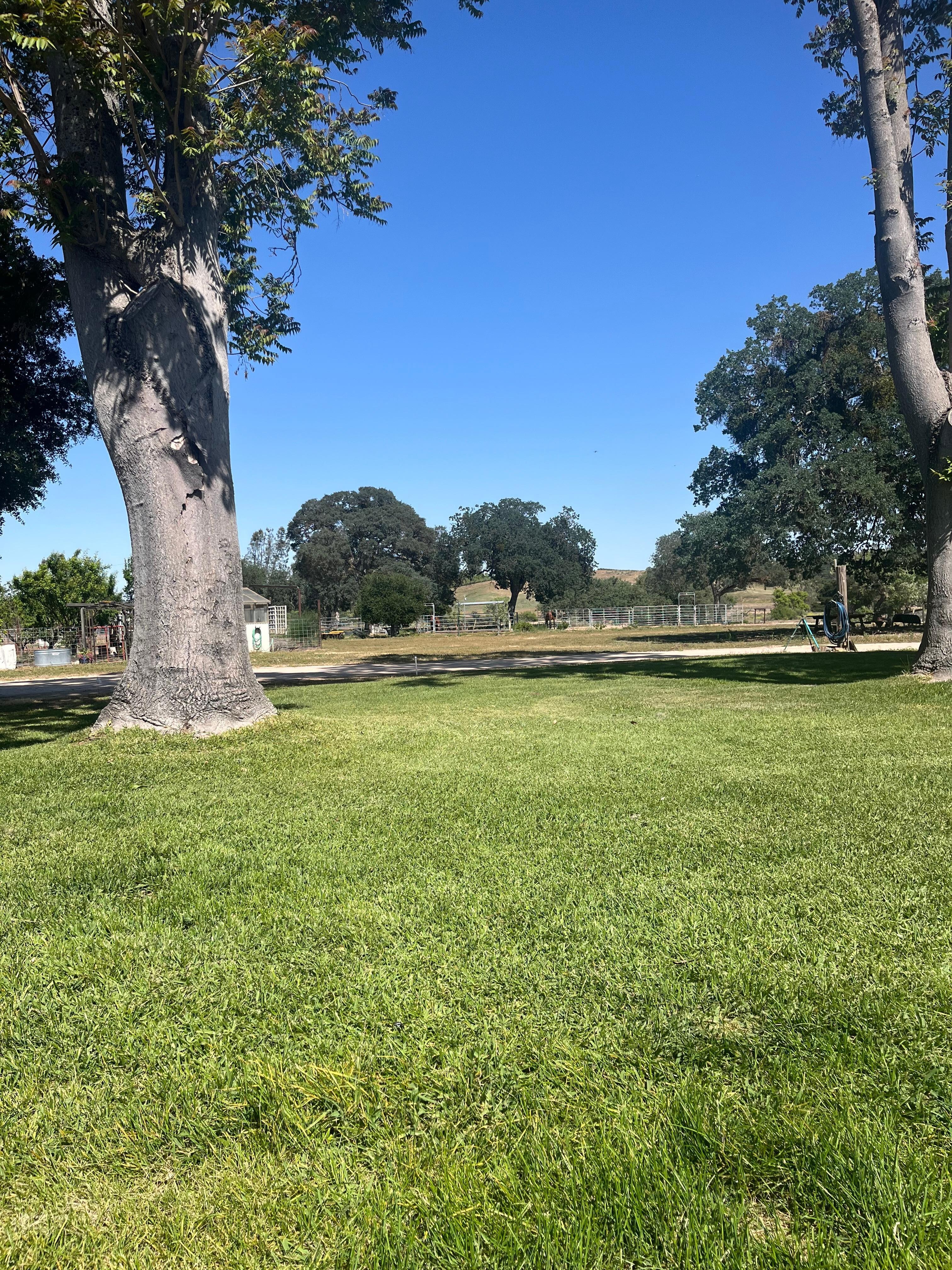 View from the front porch