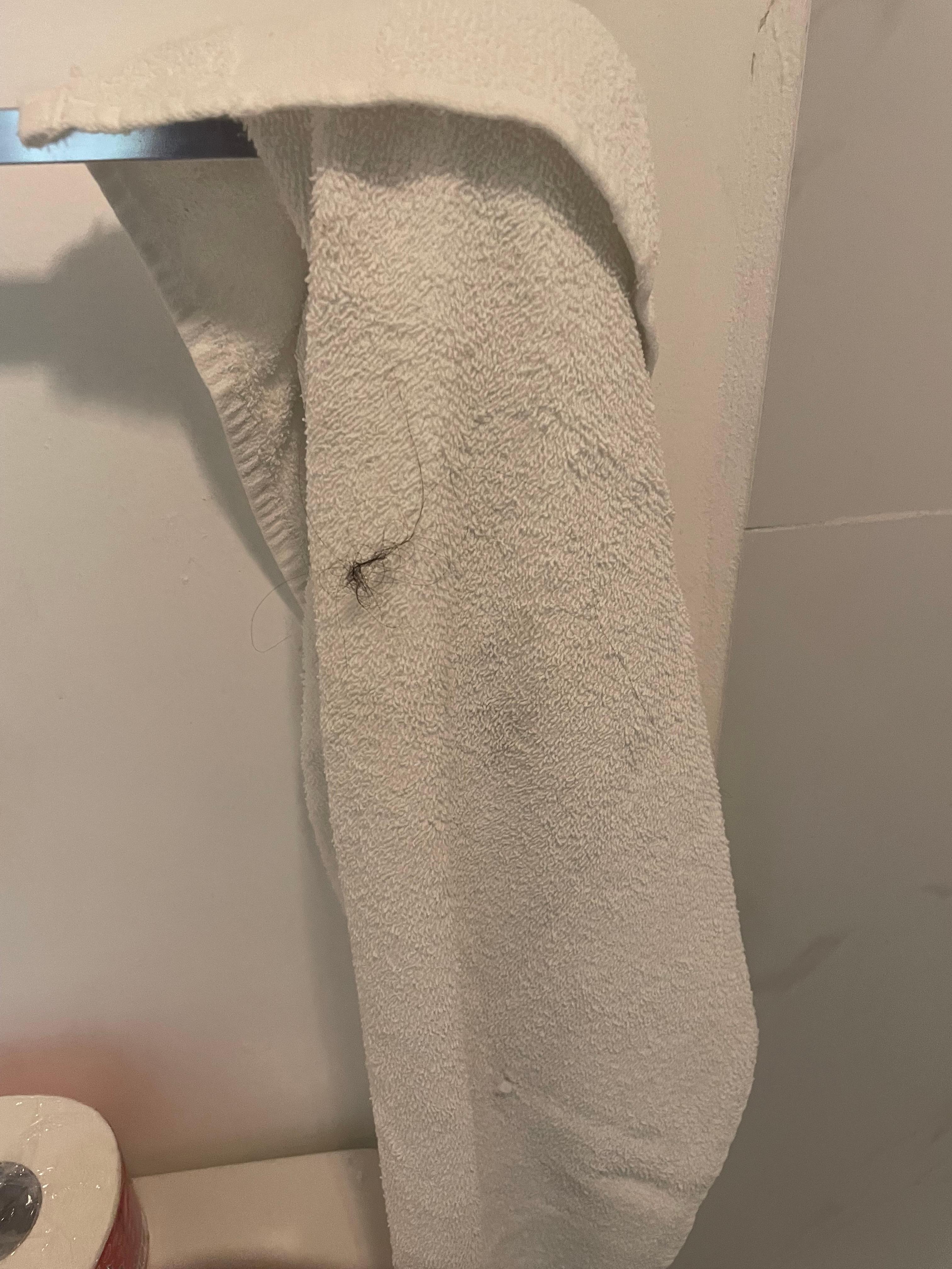 Hair + stain I found on one of the folded towels 