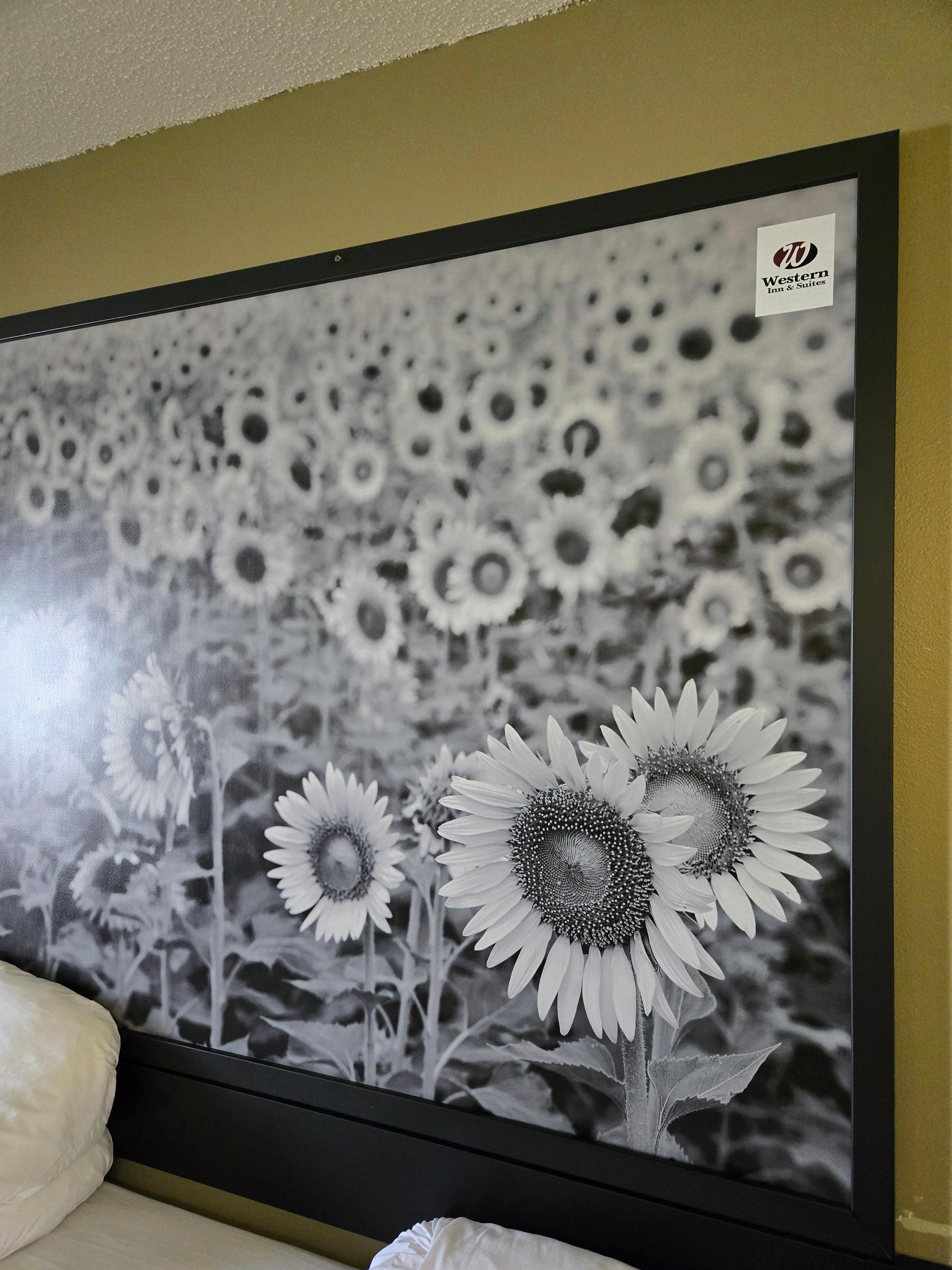 Sticker of hotel name on the picture on the wall. So someone doesn't steal it? It is the size of the king bed.