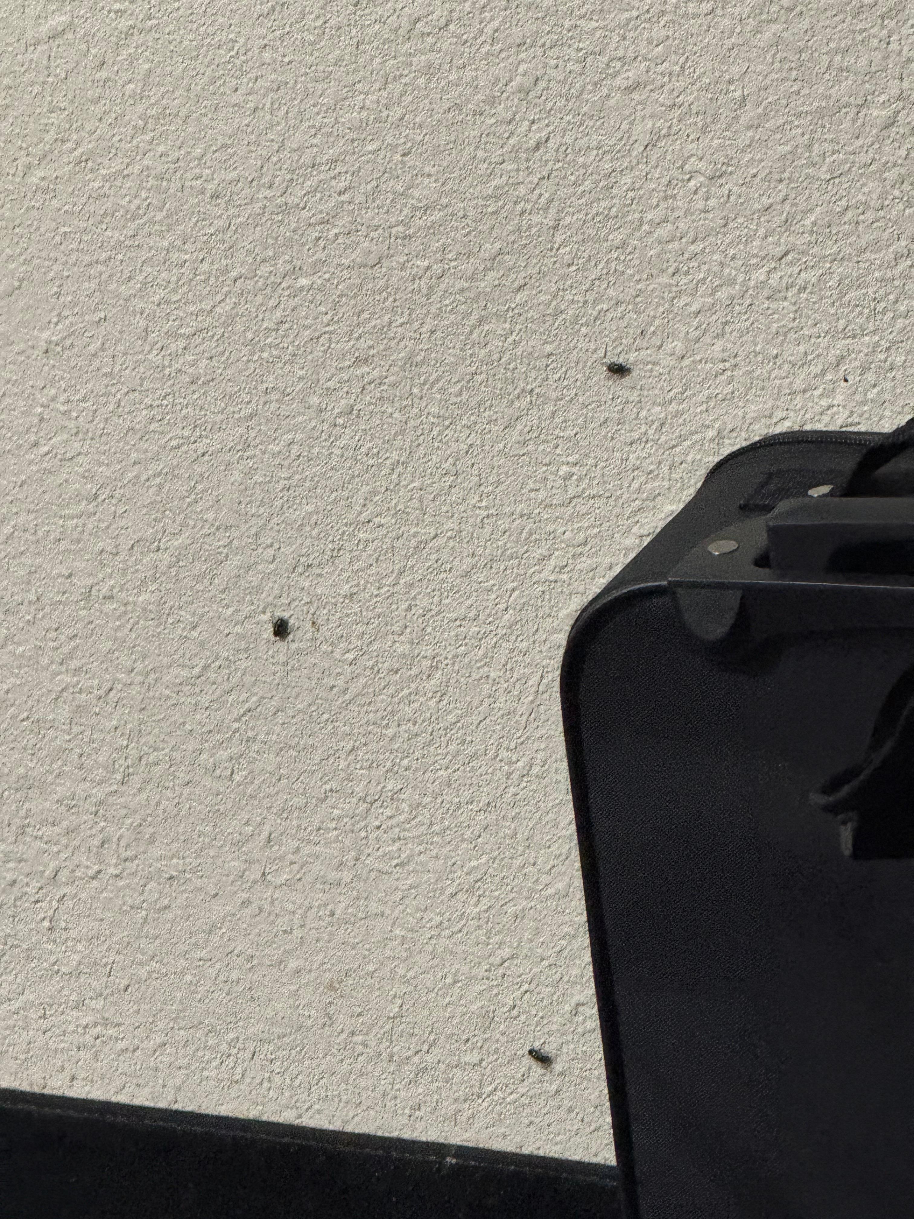 Room was dirty and full of flys
