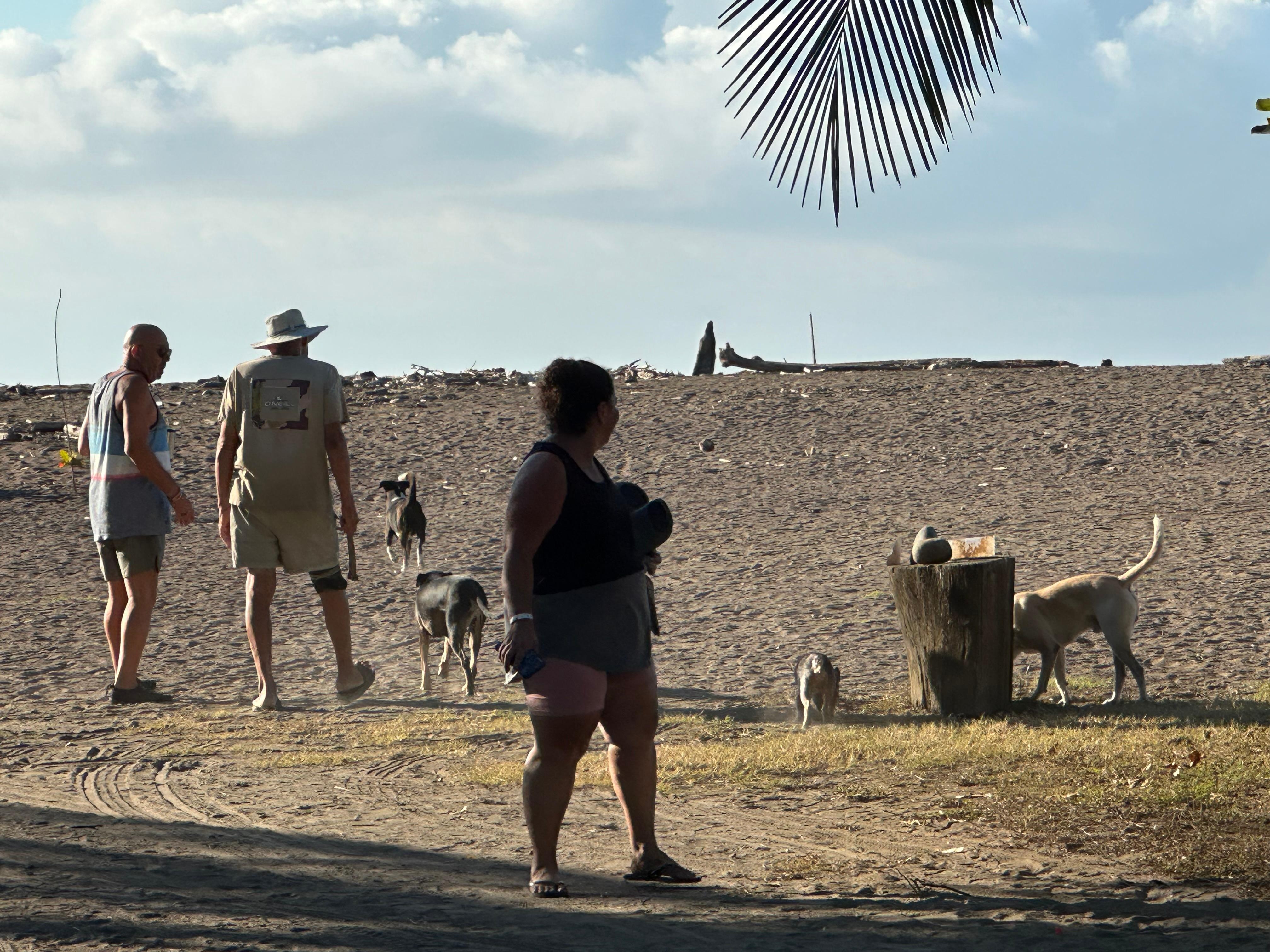Path to beach from complex. 