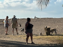 Path to beach from complex.