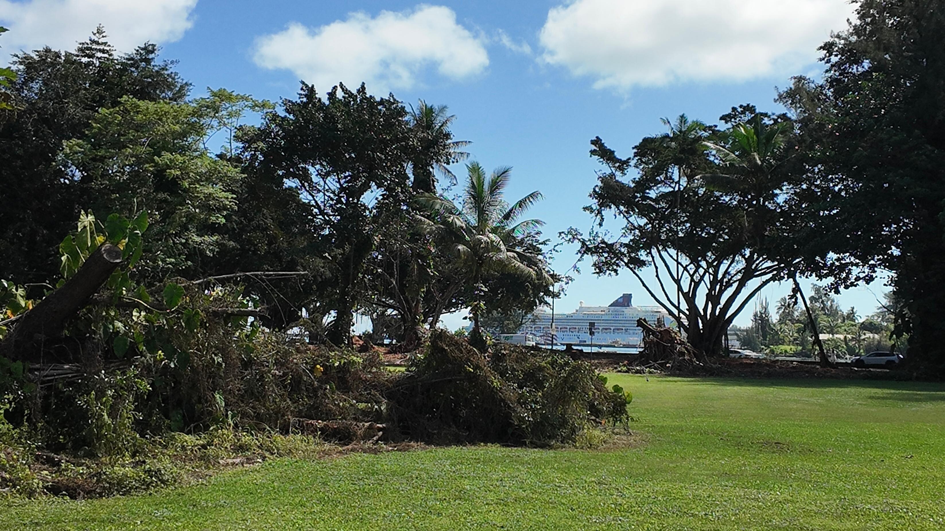 Course view