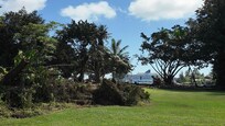 Course view