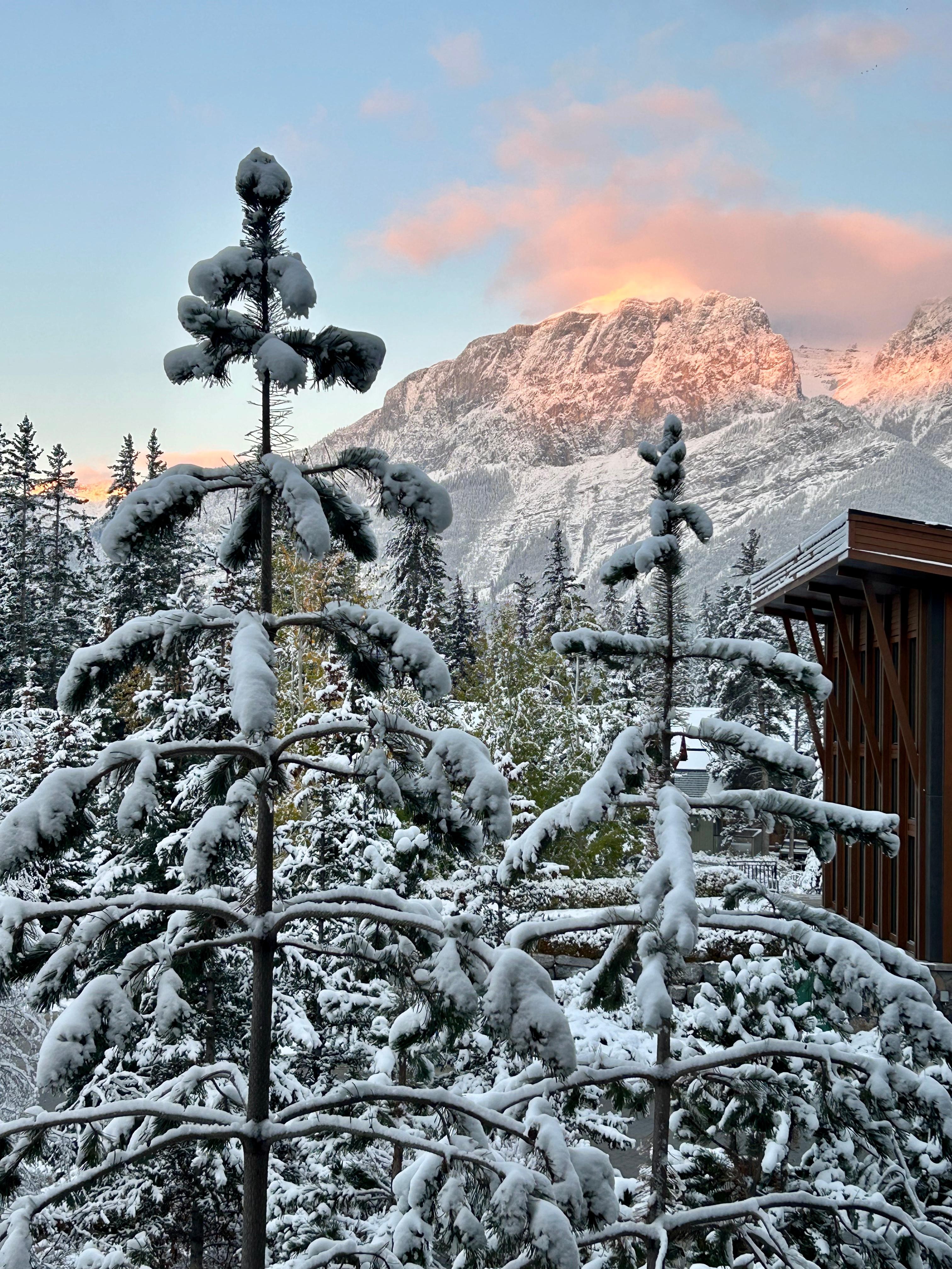 Beautiful sunrises from the living room window