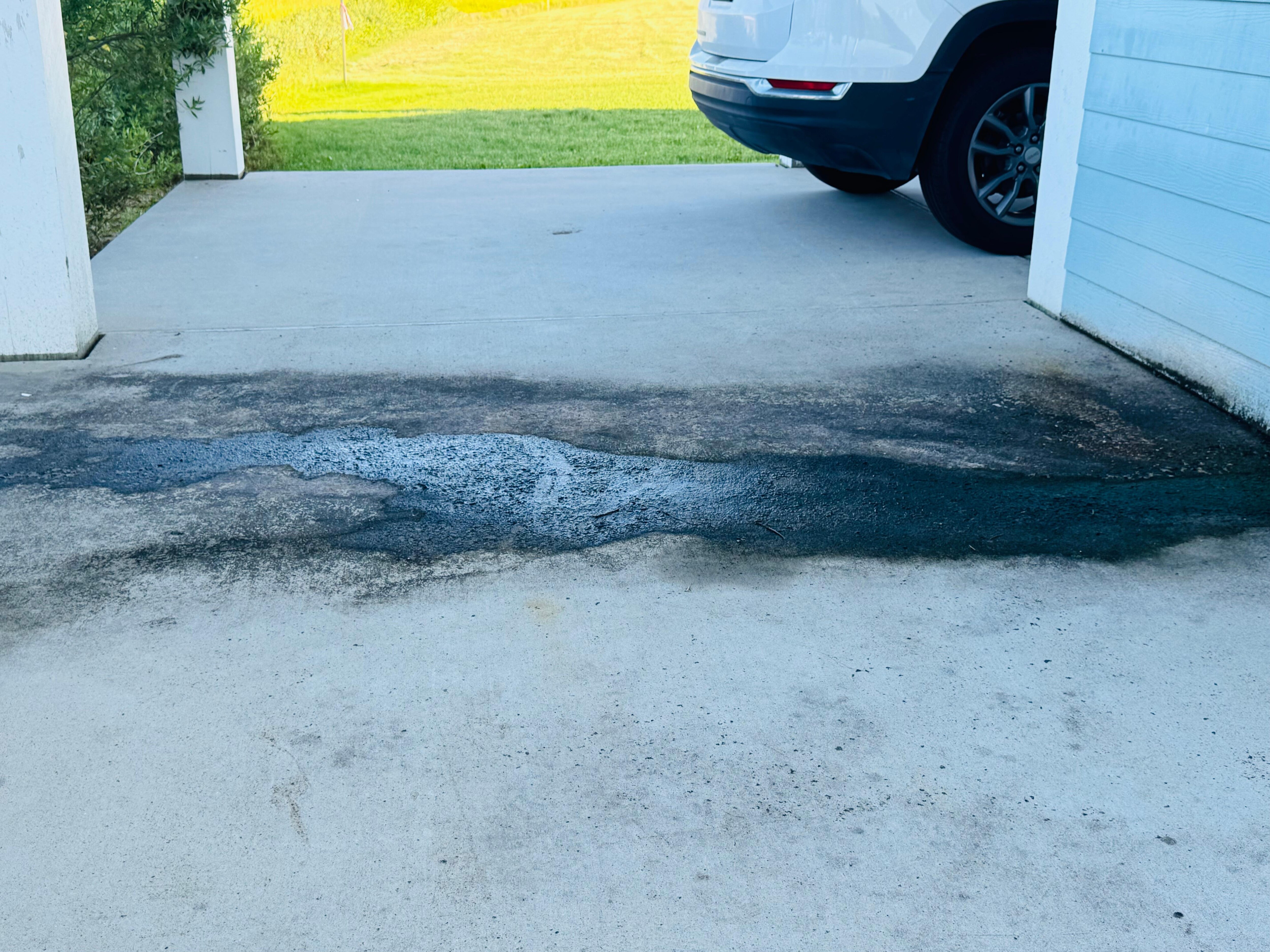 There is this moldy stuff outside that is also gross and needs to be tended too. 