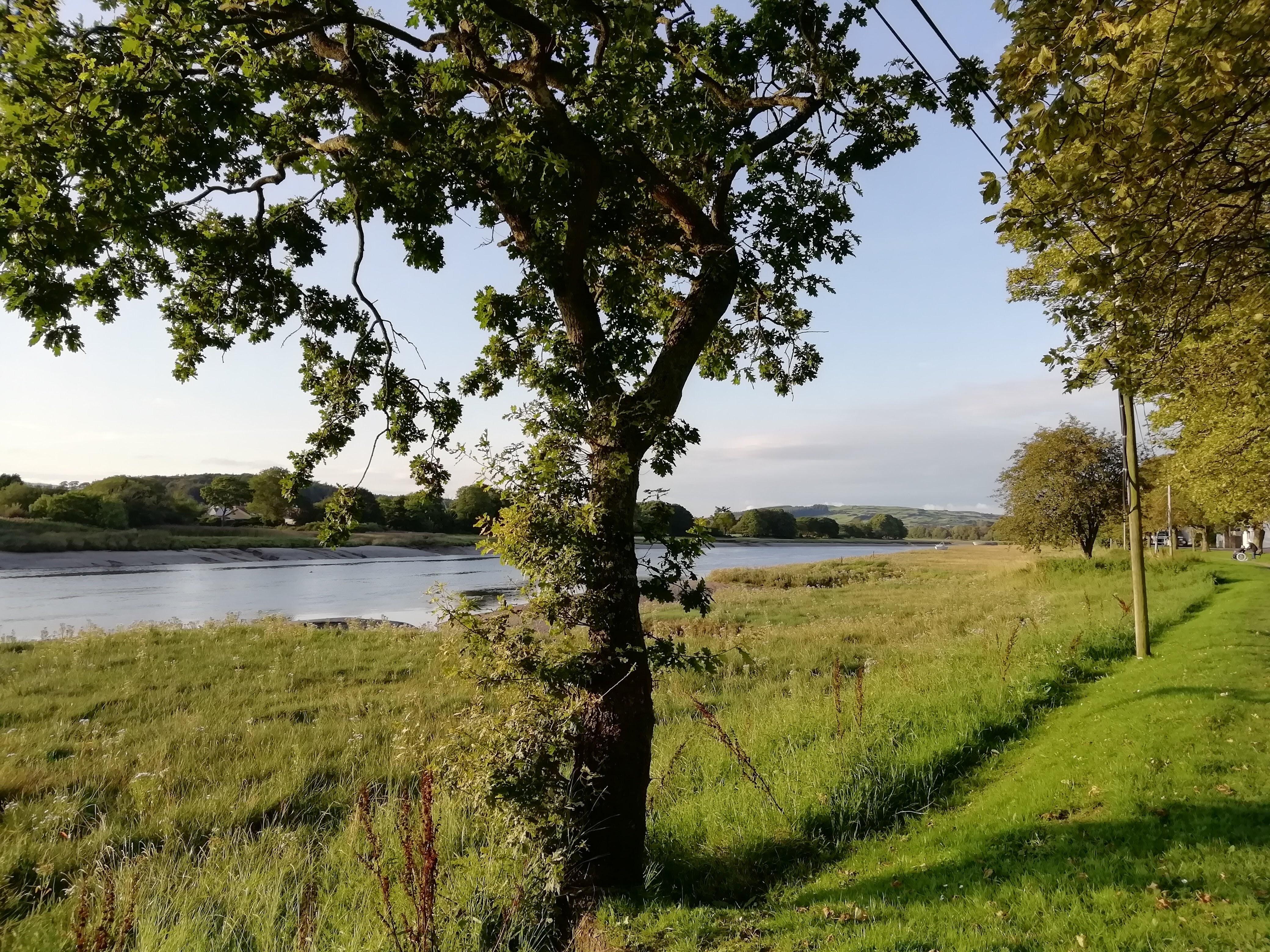 Walk along river Dee from Kirkudbright