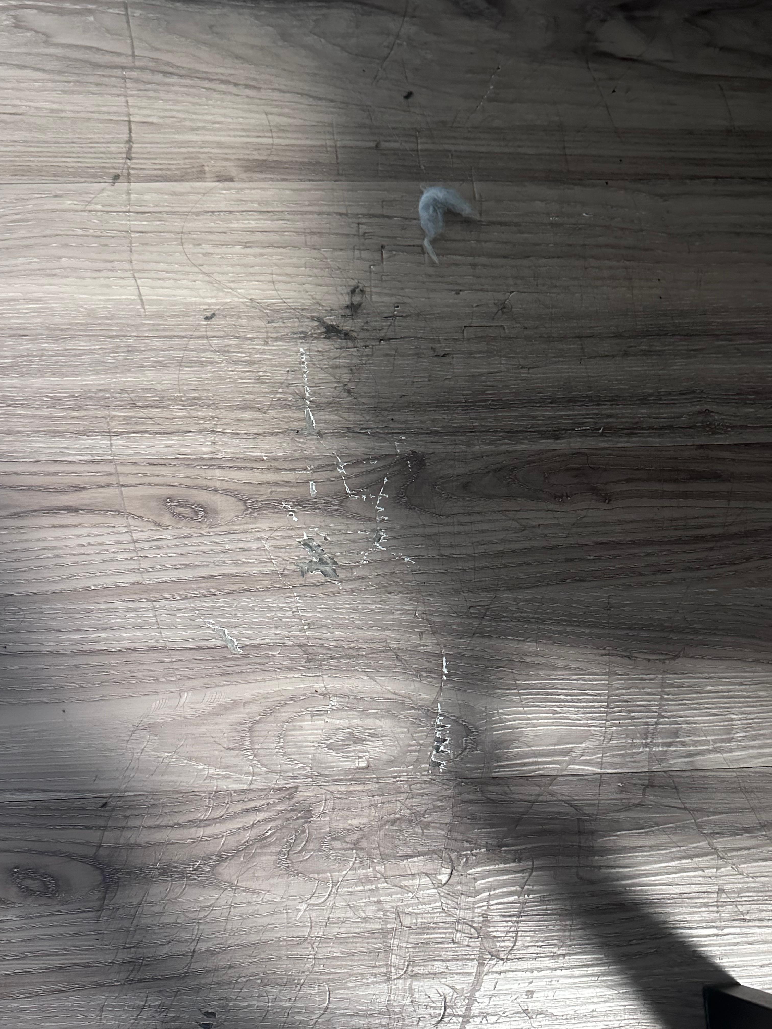 Tufts of hair on floor 