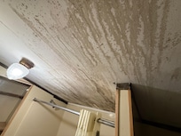 Moldy bath ceiling