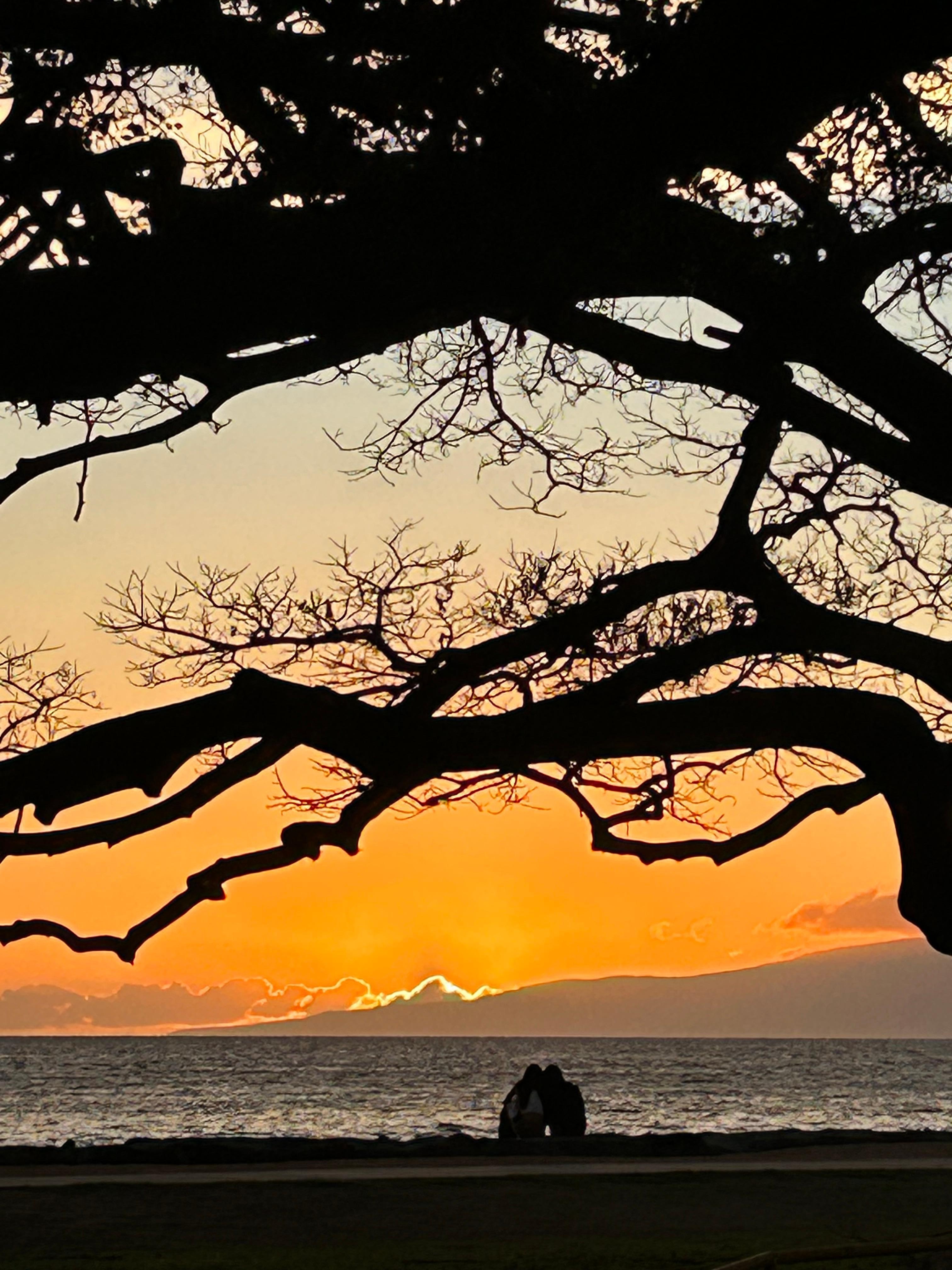 Sunsets to come back for. 