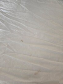 Stained sheet