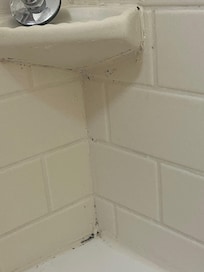 Black mold in the grout