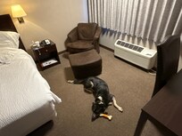 Spacious & clean room with comfy armchair