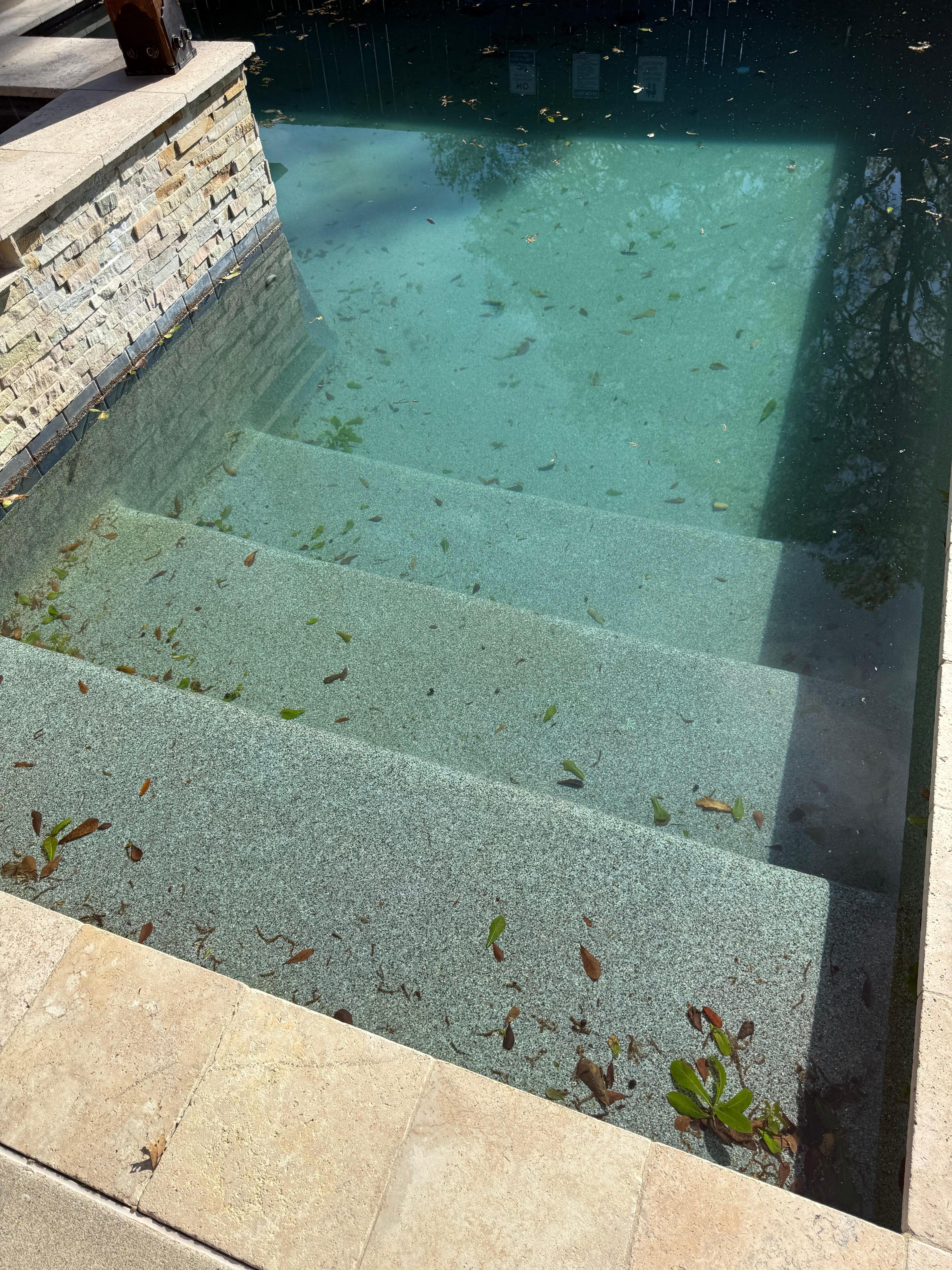 Pool filthy picture dont show how badly literally had depries floating onto wouldnt bath my dog in this pool