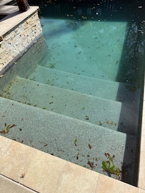 Pool filthy picture dont show how badly literally had depries floating onto wouldnt bath my dog in this pool