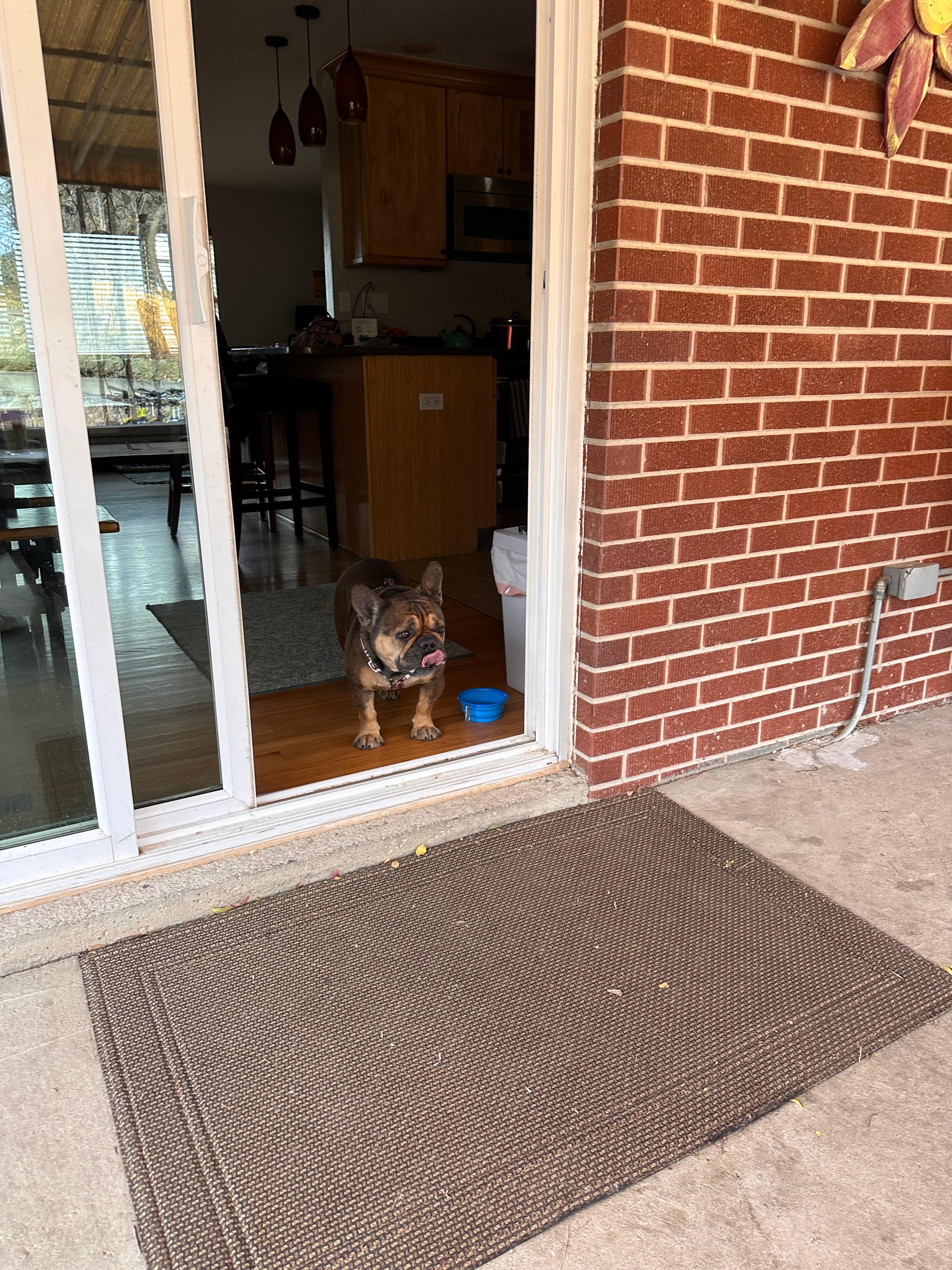 Great fenced back yard saw several deer in other neighborhood yards!